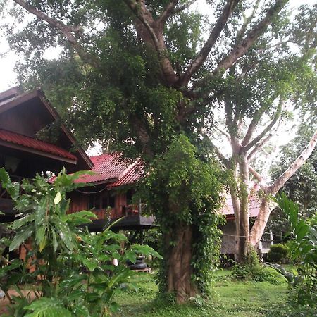 Bamboo House Hotel Khao Sok National Park Eksteriør billede