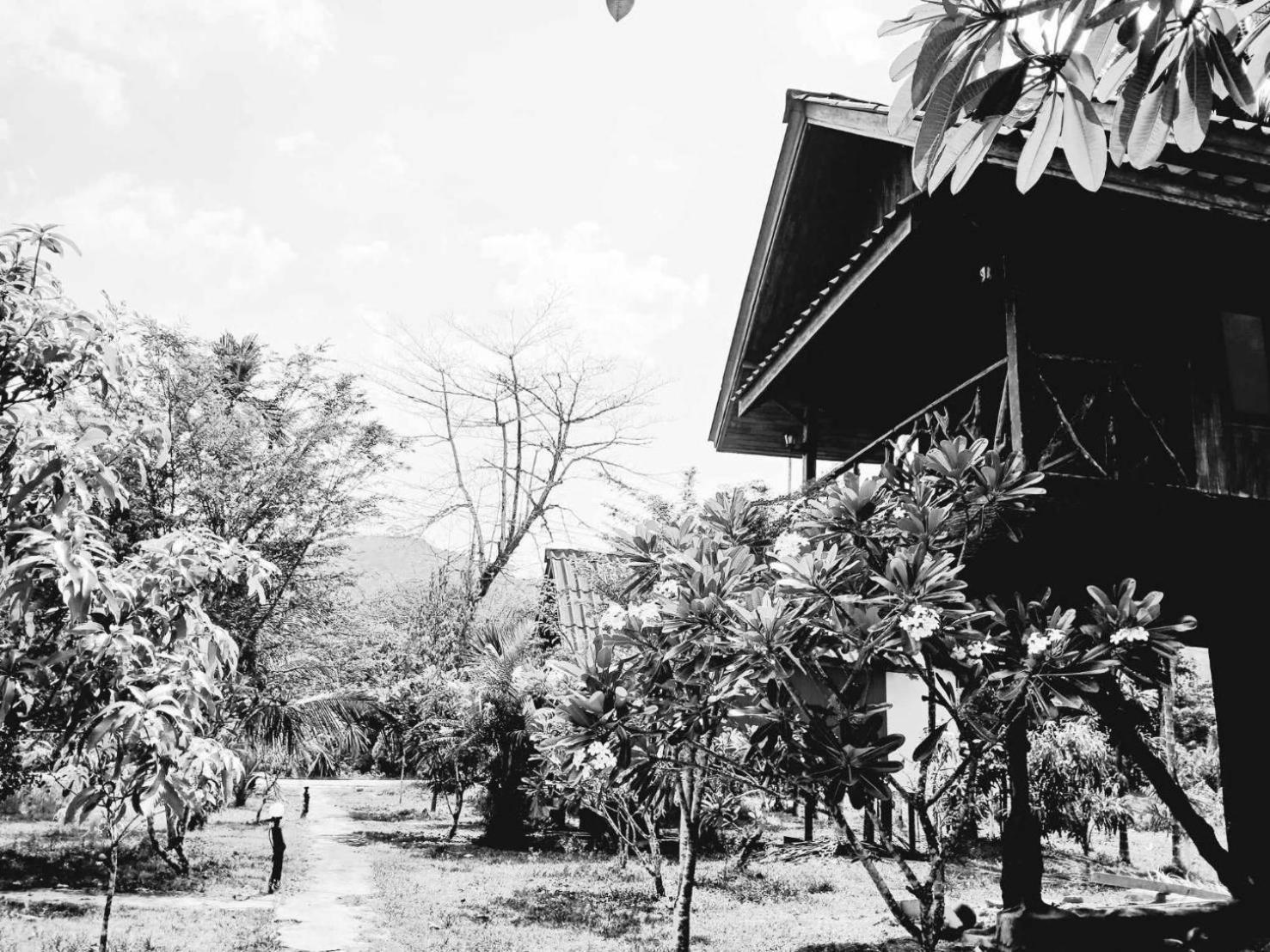 Bamboo House Hotel Khao Sok National Park Eksteriør billede
