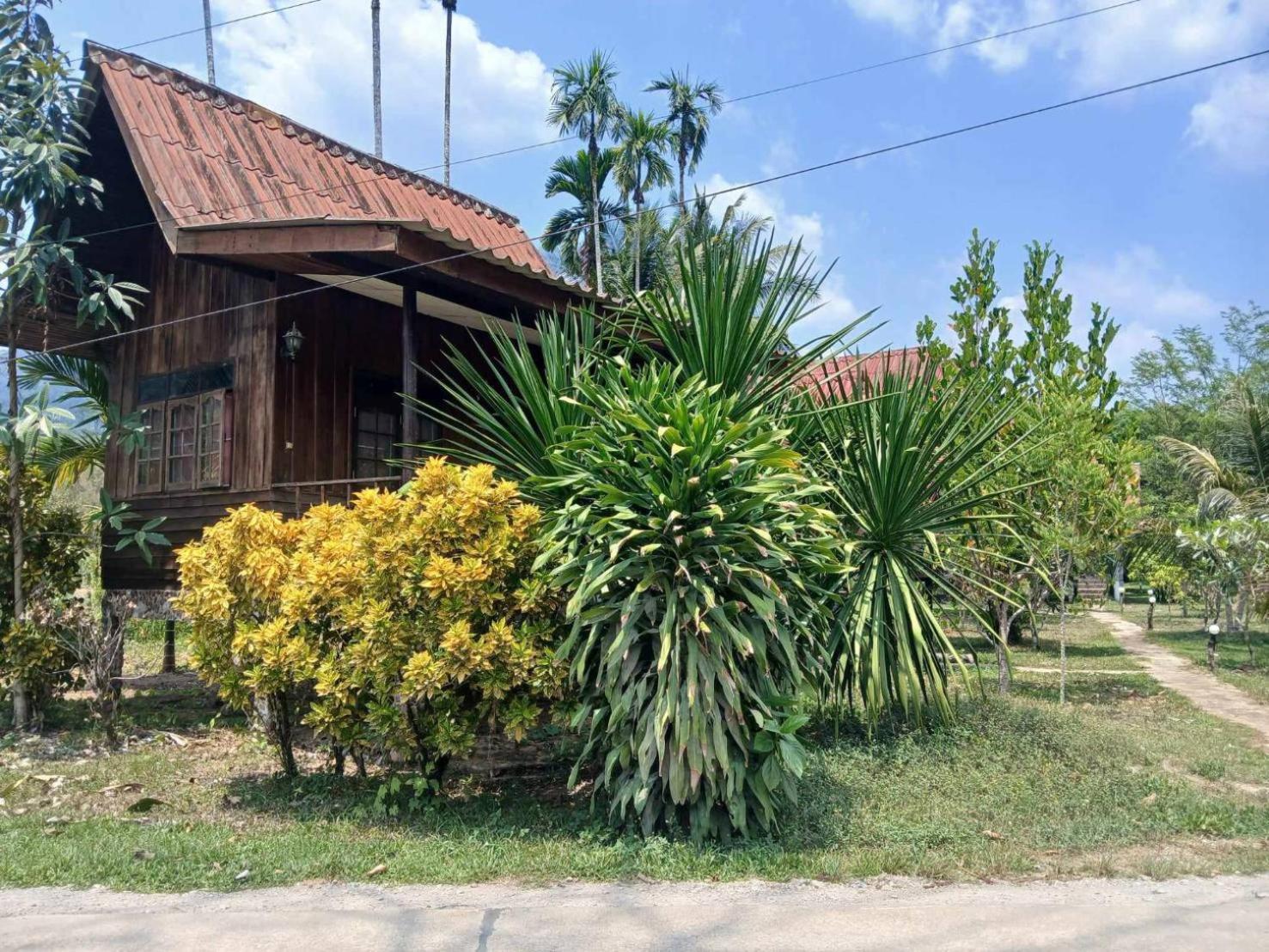 Bamboo House Hotel Khao Sok National Park Eksteriør billede