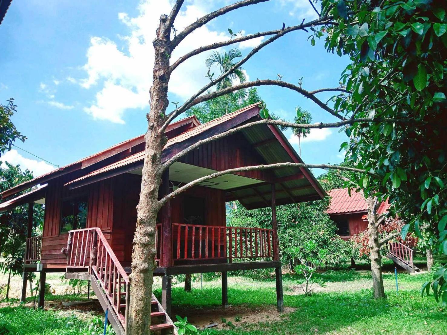 Bamboo House Hotel Khao Sok National Park Værelse billede
