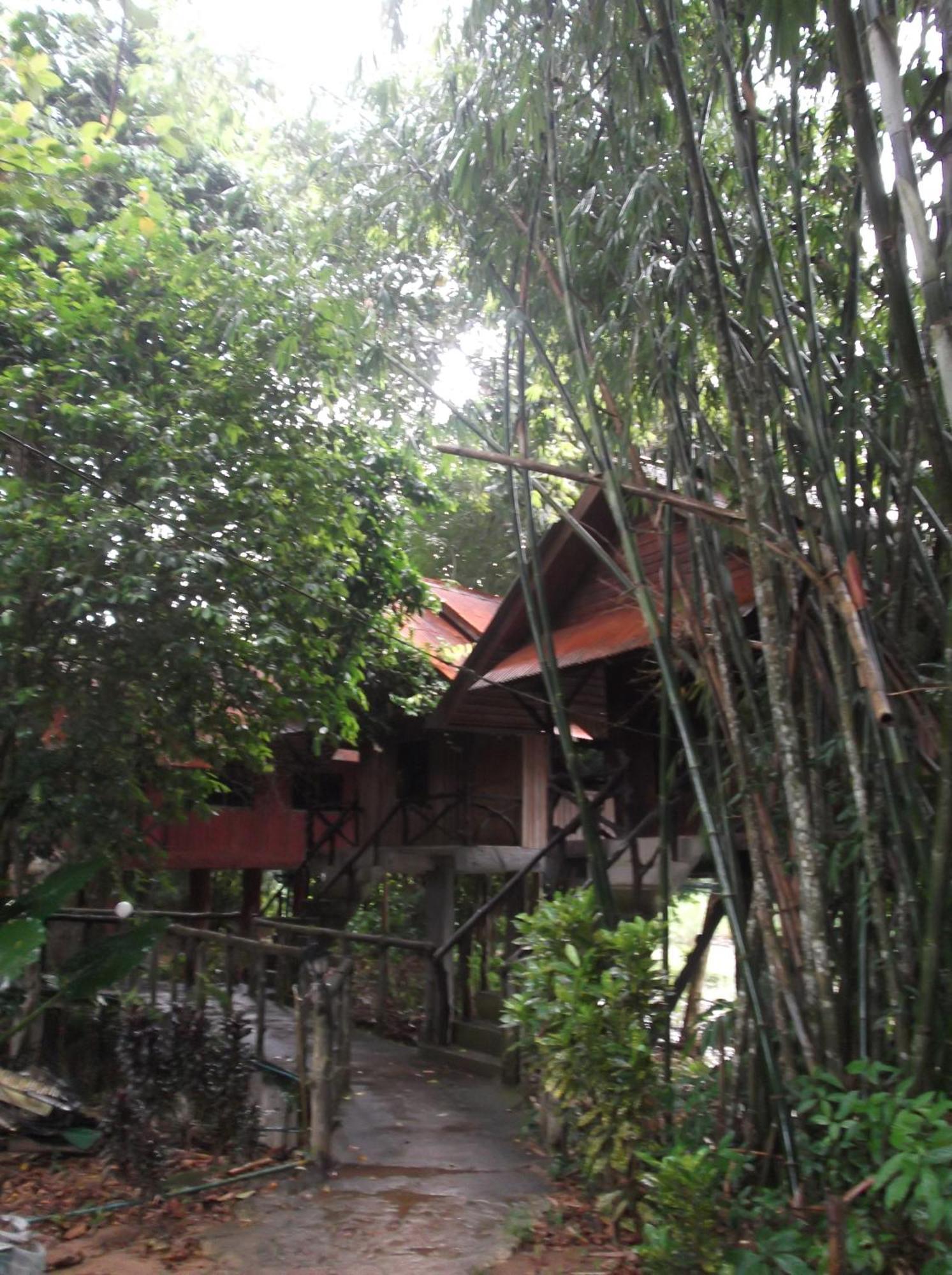 Bamboo House Hotel Khao Sok National Park Eksteriør billede