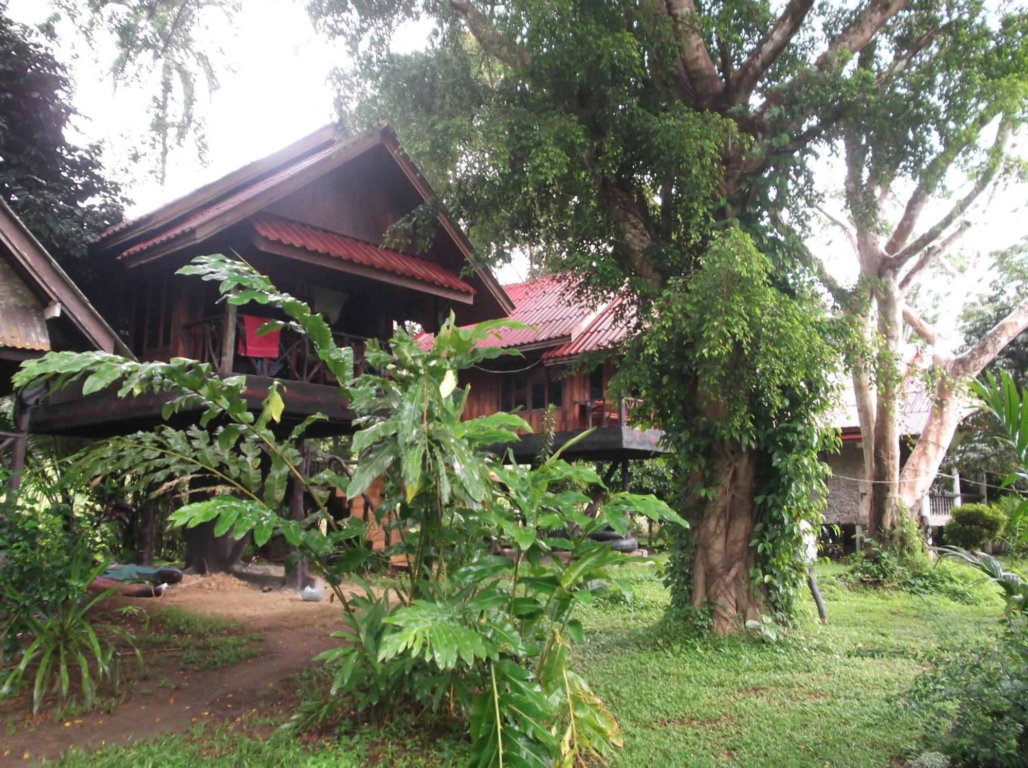 Bamboo House Hotel Khao Sok National Park Eksteriør billede
