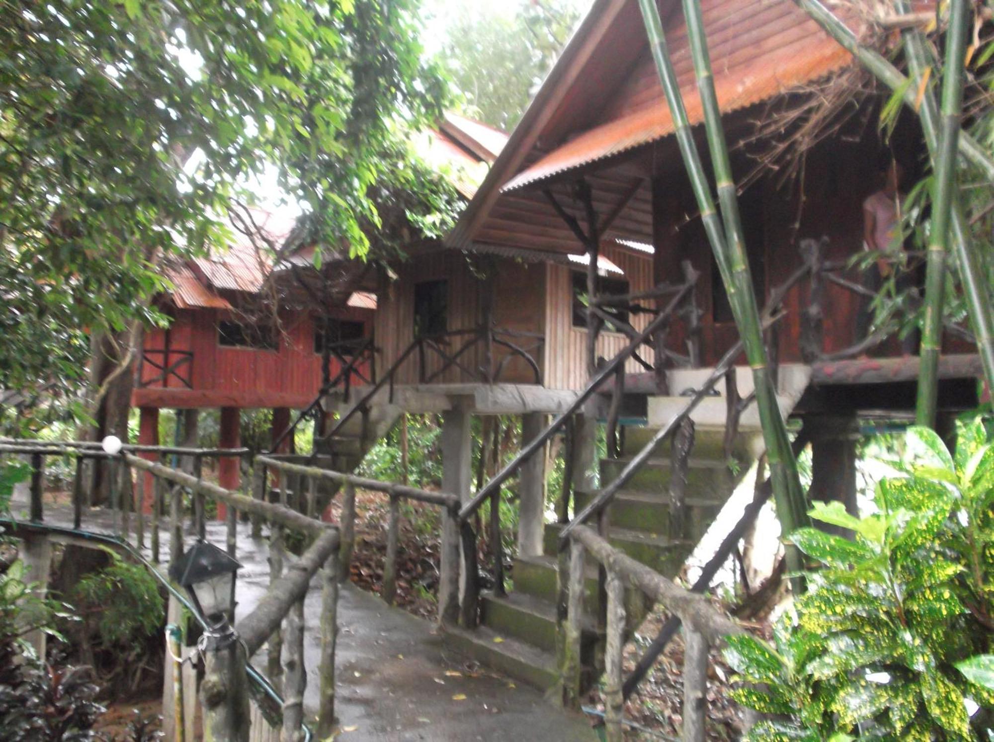 Bamboo House Hotel Khao Sok National Park Eksteriør billede